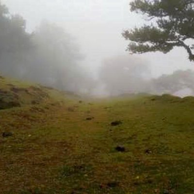 DSirkoch3609's profile picture. 