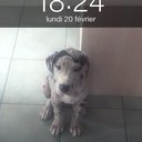 cindy bolduc - @BolducCindy - Twitter