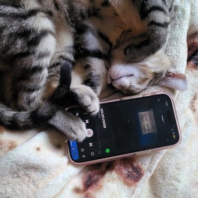 _alphacharlie_x's profile picture. man, am i the greatest • ❯❯❯❯