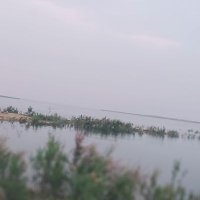 Ali Ali (@aliali945304) Twitter profile photo