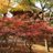 ebi0402_sgs