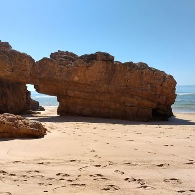 VonRaveypants's profile picture. 