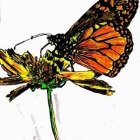 iPaddy (@escanabash_ip) 's Twitter Profile