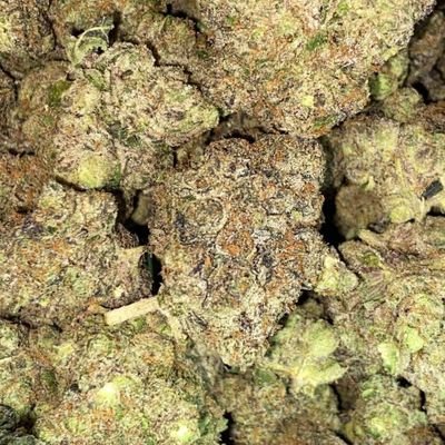 tae_jamie's profile picture. Weed seller #pills #smokers #lifestuners #TheDopestShop #EGE #https://t.me/carmdistro240