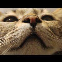 بربری (@trainedtosee) 's Twitter Profile