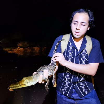 Hi nice to meet you, finance agent using ERPs, reptiles, amphibians and arthropods hobby, snake keeper, looking for happiness.