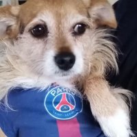 Scarlett la reine de la galoche (@nanou2309) 's Twitter Profile