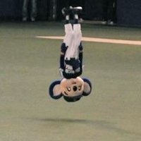あおい/国民民主党がんばれ (@doa_rabbit) 's Twitter Profile