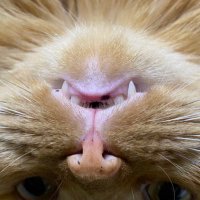 eiri (@e1r1m) 's Twitter Profile