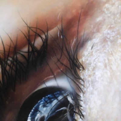kuranoyukiko's profile picture. 画家／painter https://t.co/EDLbeSfm0y