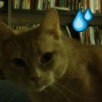 Sasha (CTO) (@sashaonsui) 's Twitter Profile