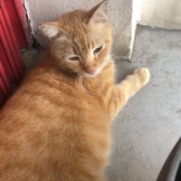 nana (@mrtadee) 's Twitter Profile