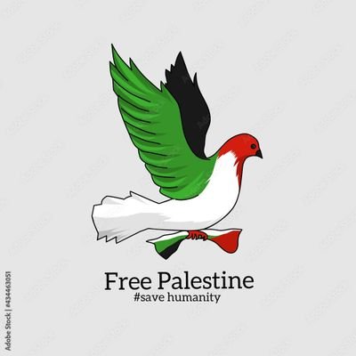 Graphic designer and drwing talent
Witness to Genocide