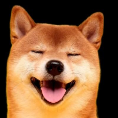 eoalwl777's profile picture.