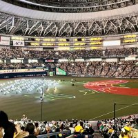 やまさ⚾️🐯⚽️🏸 (@yamasa15038) 's Twitter Profile Photo