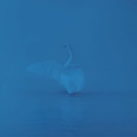 Azure LoFi (@azurelofi) 's Twitter Profile