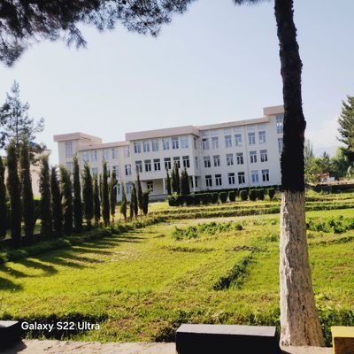 هدف زندهگی ام رضای الله سبحانه وتعالی است.
قوم، زبان، ملیت و وطن برایم هیچ ارزشی ندارد، تمام این کرهی خاکی مکانی برای تطبیق اسلام بوده و سرزمین من است.