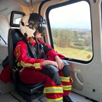 Rosie Dodd-Jones (she/her) (@rosiedoddjones) 's Twitter Profile