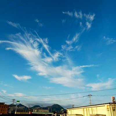 今出来る事に集中します
哲学、心理学、実用的な理論
今後の目標
自分と周囲 より良い関係を築く
環境をより改善