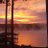 macha91442's profile image