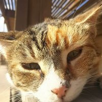¢む み ん† (@dir_suke_grey) 's Twitter Profile