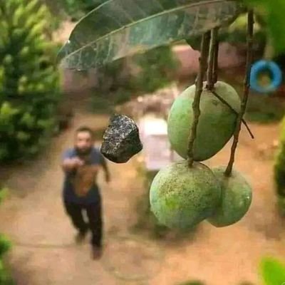 Mokonzizulu's profile picture. 