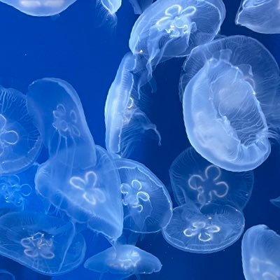 背景モデラー (Maya,sp,ps,sd,zbrush,speedtree,Houdini)自分の好きを表現する。独り言ぼやいてます。