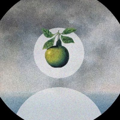 FurgWalk's profile picture. 19