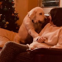 Anne Roberts (@anneroberts22) 's Twitter Profile