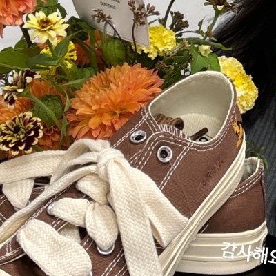 RO6Sdxc3EL36801's profile picture. 