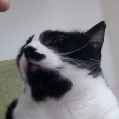 heybinooruddin's profile picture. 