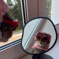 💞beefaghetti💘 (@migrainejane) 's Twitter Profile Photo 💞beefaghetti💘 (@migrainejane) 's Twitter Profile Photo
