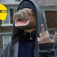 Montana G (@onchainmontana) 's Twitter Profile Photo Montana G (@onchainmontana) 's Twitter Profile Photo