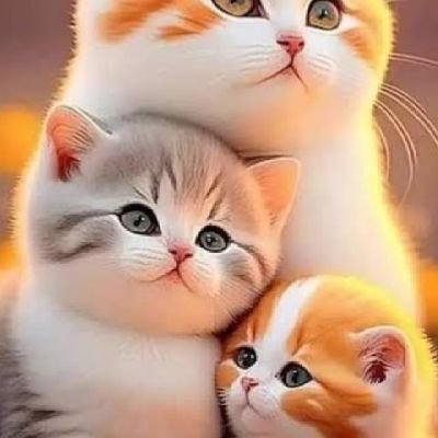 nataru25's profile picture. @takoyakifiknafa nonaktip mohon jangan rerrol saya 🙏
Karena akun itu belum pernah menang 😭