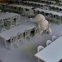 何時の隣人 (@eicqddmeuz52870) 's Twitter Profile Photo