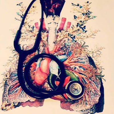 KAltb31248's profile picture. 