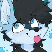 Keif (@thebmwfur) 's Twitter Profile