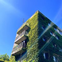 北大立て看同好会 (@tatekan_hokudai) 's Twitter Profile Photo