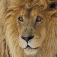 State President of the Bantu Federation (@b_dikela) 's Twitter Profile Photo State President of the Bantu Federation (@b_dikela) 's Twitter Profile Photo