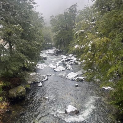 ferciudadana's profile picture. 