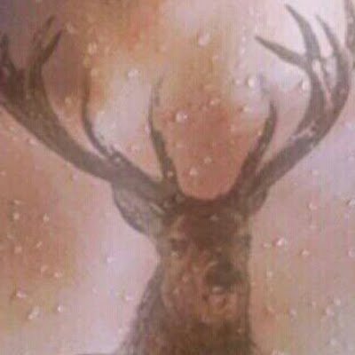 wwwwwwssss111's profile picture. 