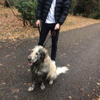 JM (@joshmrchant99) 's Twitter Profile