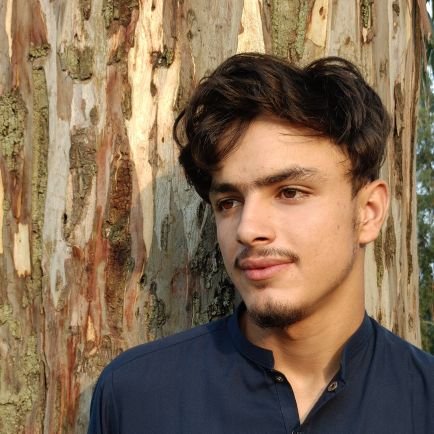 msksaleem6's profile picture. GAMMER