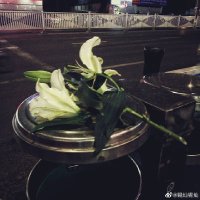 深渊 (@kisswillkillme) 's Twitter Profile