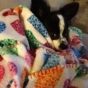 Joanne Close - @jojoclose - Twitter