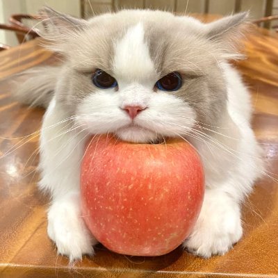功している人はみな、途中であまり道を変えていない。いろんな困难があっても志を失わず、最后までやり遂げた人が概して成功している。