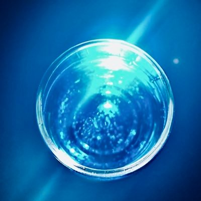 ikotan_ryouya's profile picture. 