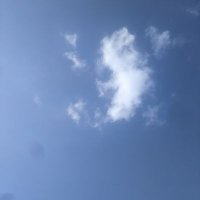 MANKO (@i_am_japanese_a) 's Twitter Profile