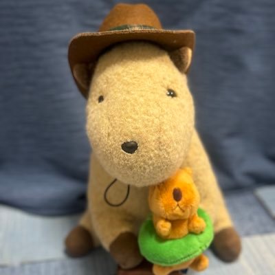 確認(〃艸〃)୨୧⑅*. XINYIDA Hot Selling High Quality 5WK96754B 4326867 4326867RX