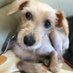 kendy (@t8900m_kendy) Twitter profile photo kendy (@t8900m_kendy) Twitter profile photo